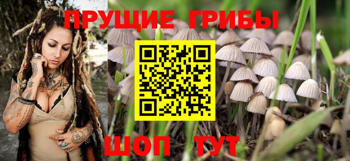 Галлюциногенные грибы GOLDEN TEACHER  что такое   Псилоцибиновые грибы Psilocybe  Гусь-Хрустальный  Вход с VPN 